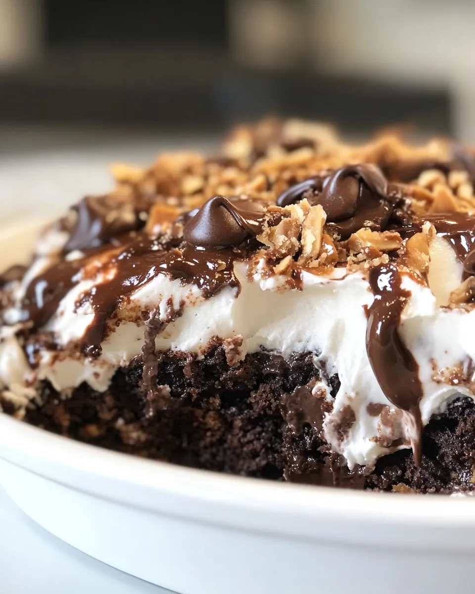 Homemade Better Than Anything Chocolate Cake recipe photo