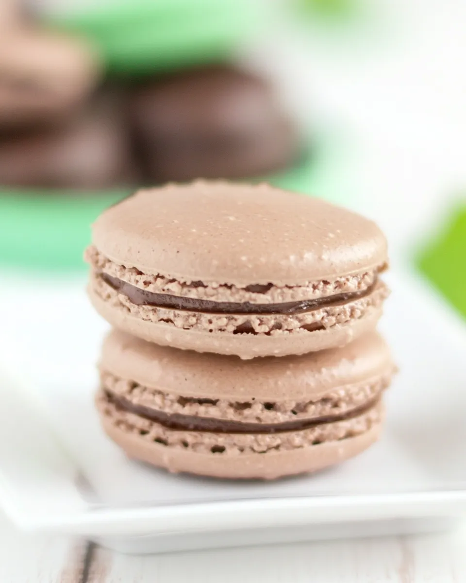 Classic Chocolate Mint Macarons dish photo
