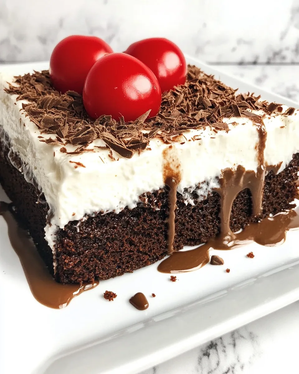 Homemade Chocolate Tres Leches Cake photo