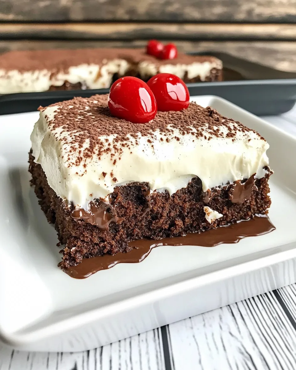 Easy Chocolate Tres Leches Cake recipe photo