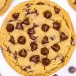 Homemade Dairy Free Chocolate Chip Cookies photo