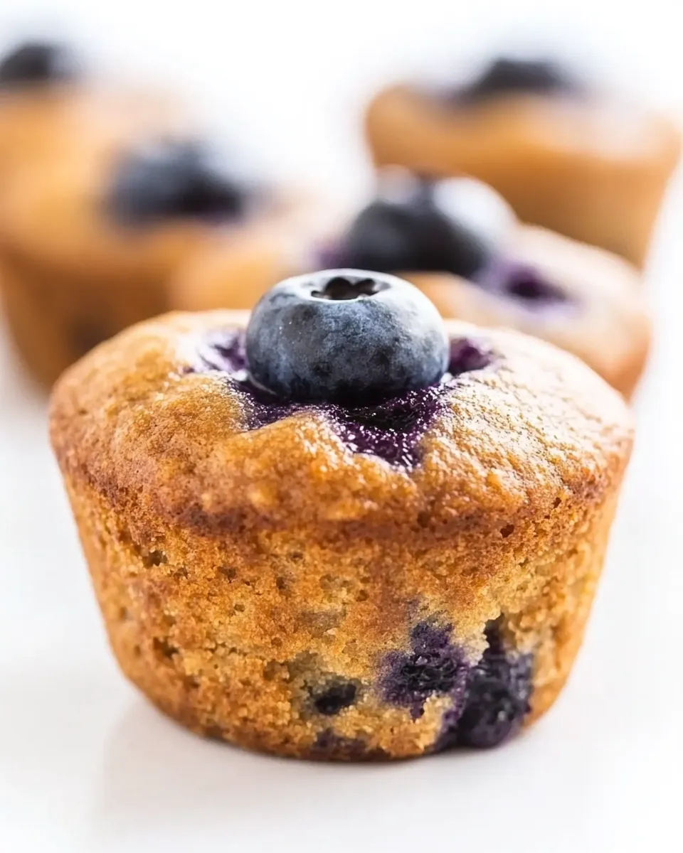 Delicious Flourless Blueberry Banana Blender Muffins shot