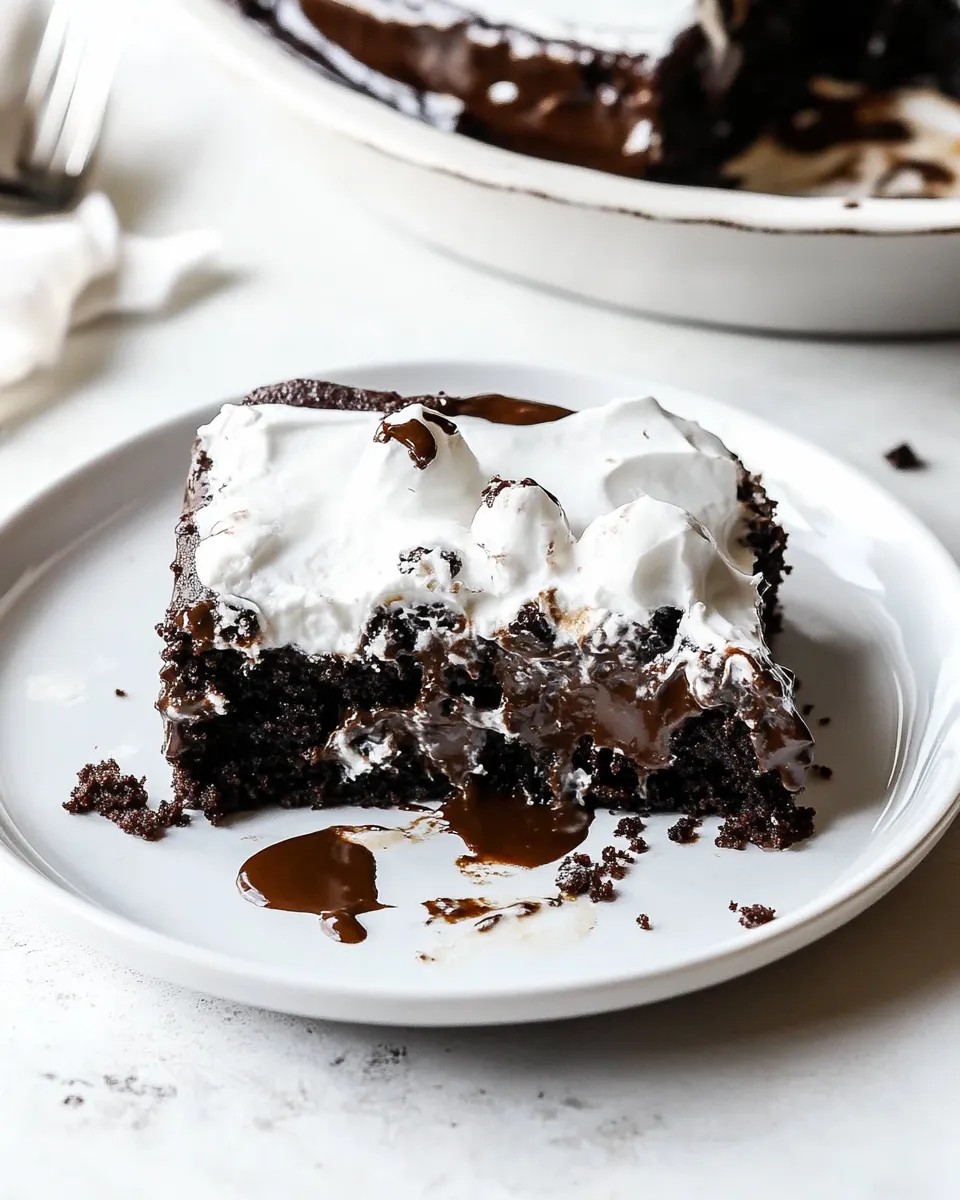 Homemade Mississippi Mud Cake photo