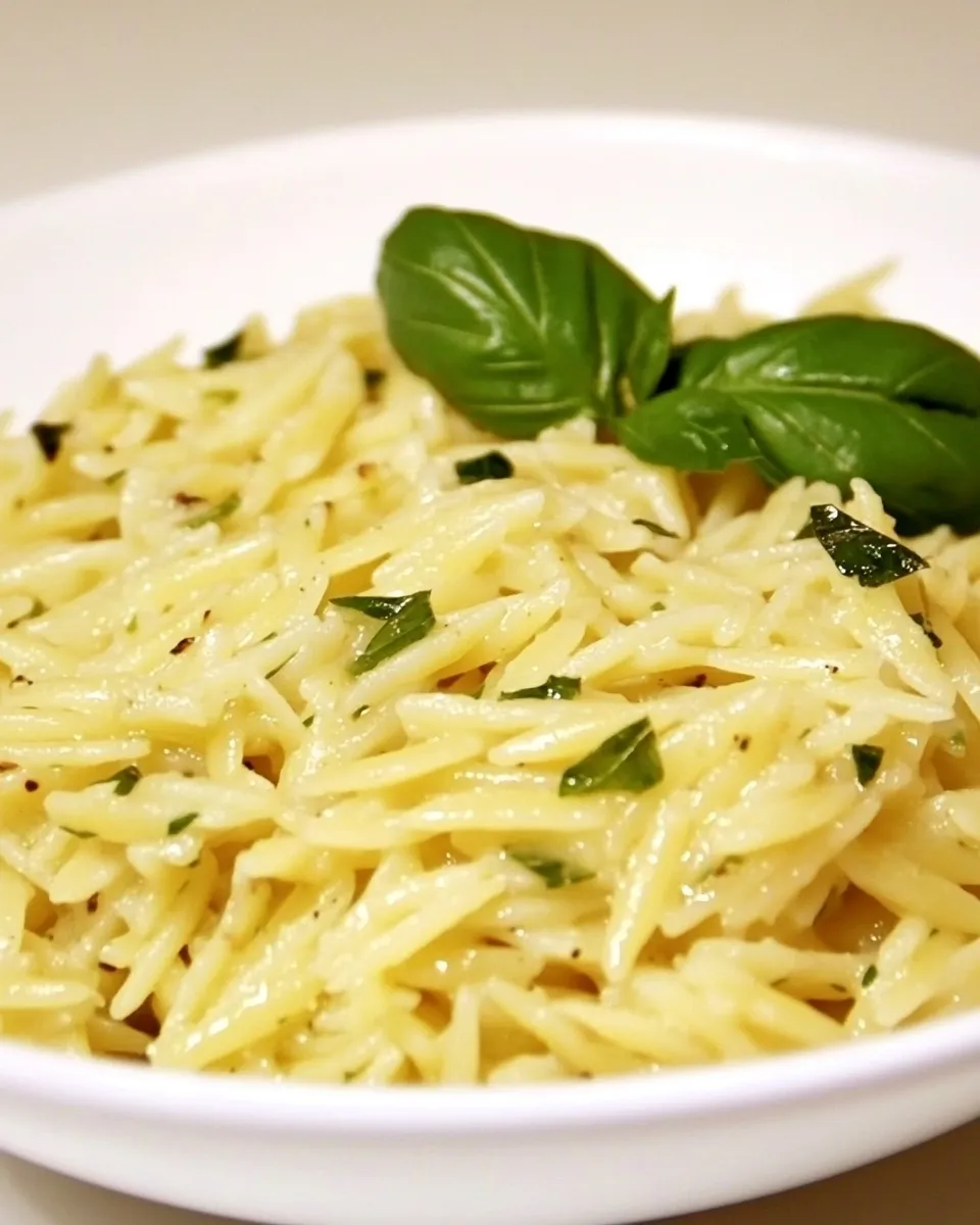 Delicious Parmesan Basil Orzo plate image