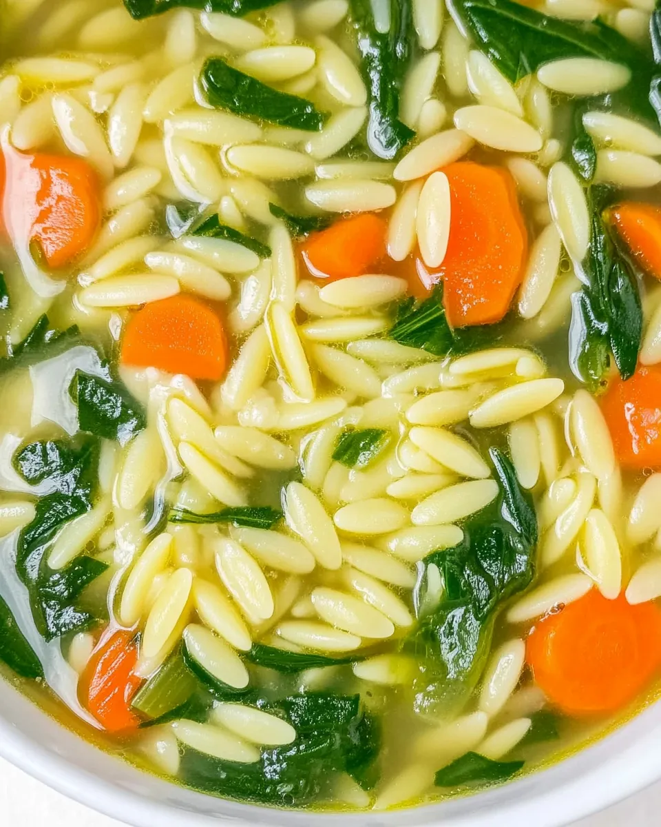 Homemade Quick Orzo Soup photo